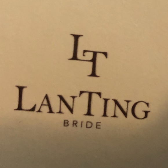 Champagne Size 18 Straight Gown by LT LanTing Bride - Picture 4 of 7